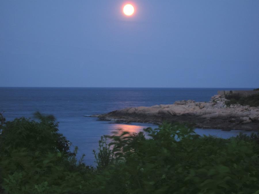 Seafarer Inn Rockport Dış mekan fotoğraf